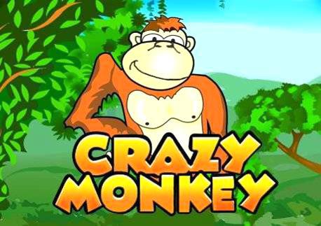 Crazy Monkey – Ingyenes online nyerőgép